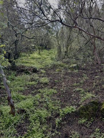 720 Sky Mountain Lane, Alpine, CA 91901