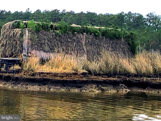 5419 RAGGED POINT RD, Cambridge, MD 21613