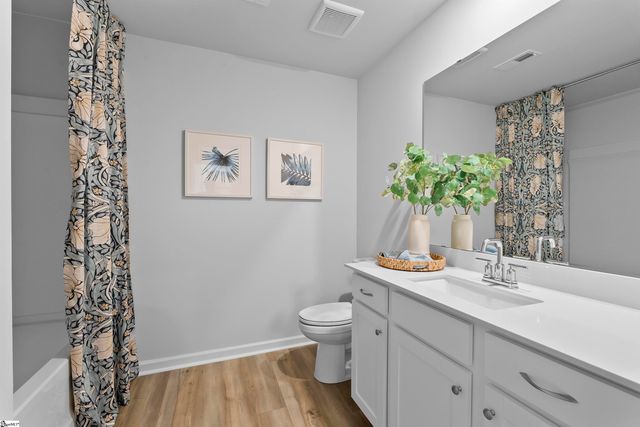 1005 Charlotte Hill Street, Piedmont, SC 29673