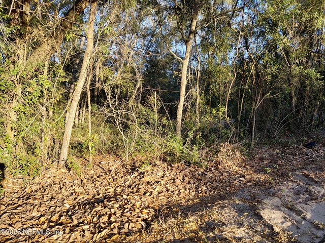 160 PUTNAM LOOP Road, Melrose, FL 32666