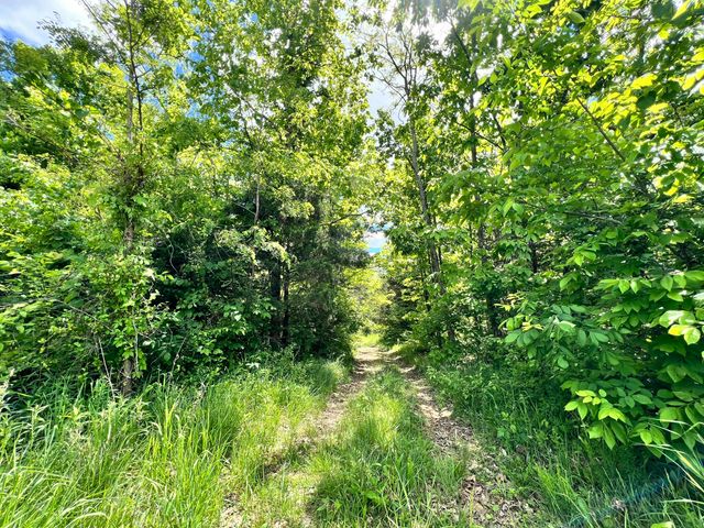 6710 Lawrenceville Road, Williamstown, KY 41097