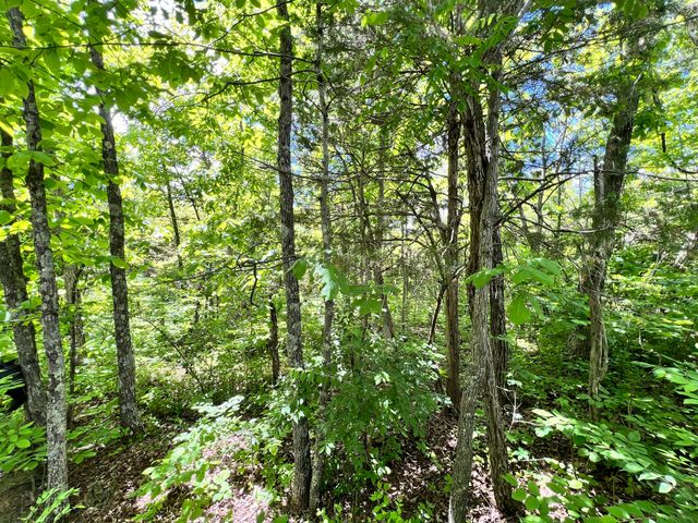 6710 Lawrenceville Road, Williamstown, KY 41097