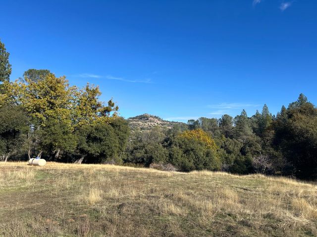 699 Weather Top, Mountain Ranch, CA 95246