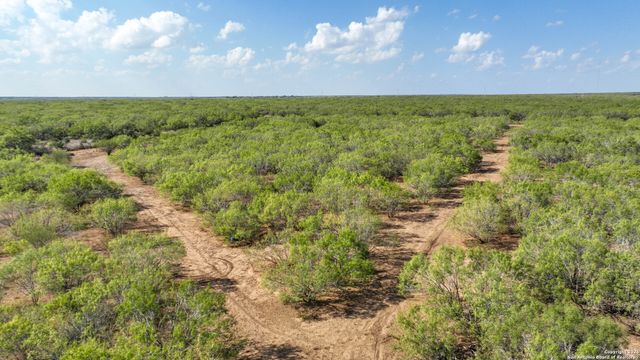 6472 Bluntzer Rd, Jourdanton, TX 78026