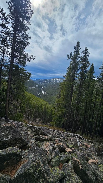 NHN Bonanaz Chief, Neihart, MT 59465 photo 2