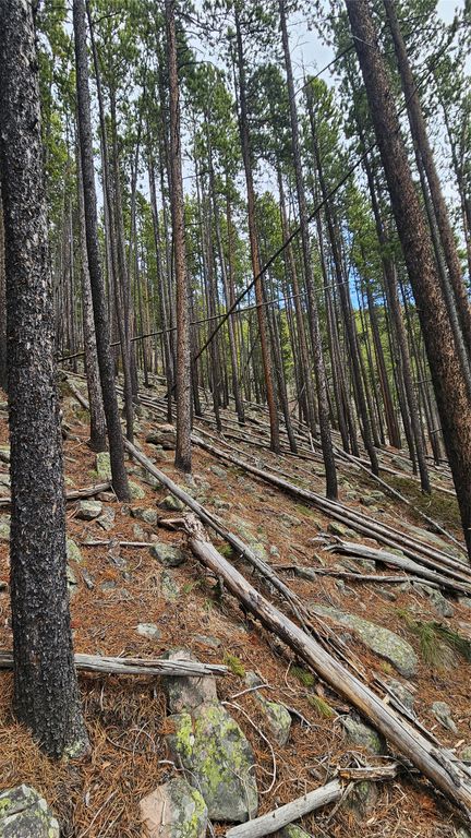 NHN Bonanaz Chief, Neihart, MT 59465 photo 5