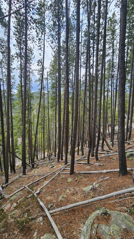 NHN Bonanaz Chief, Neihart, MT 59465 photo 6