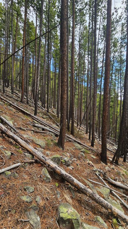 NHN Bonanaz Chief, Neihart, MT 59465 photo 7