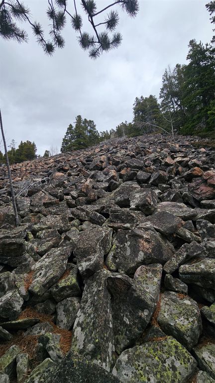 NHN Bonanaz Chief, Neihart, MT 59465 photo 8