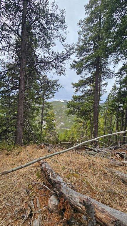 NHN Bonanaz Chief, Neihart, MT 59465 photo 9