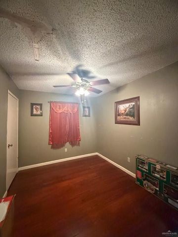 1507 W Guerra Avenue W, Roma, TX 78584