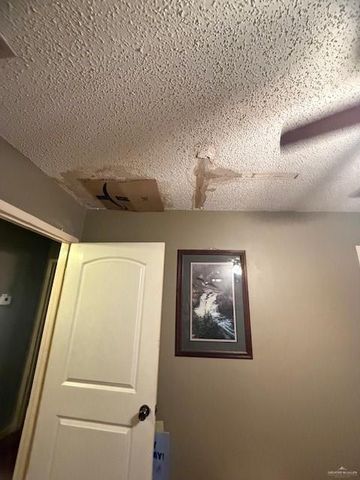 1507 W Guerra Avenue W, Roma, TX 78584