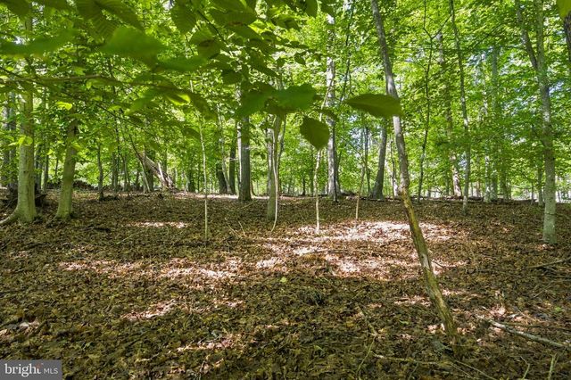 106 N TIMBER TRIBE, Mineral, VA 23117