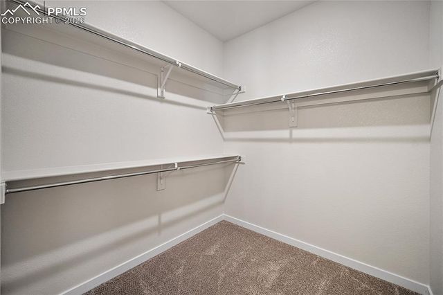 9133 Golden Buffs Drive, Colorado Springs, CO 80925