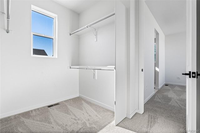 12058 Octave Avenue, Lone Tree, CO 80134