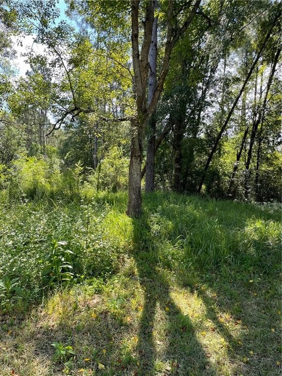20150 County Road 87, Robertsdale, AL 36567 — photo 2
