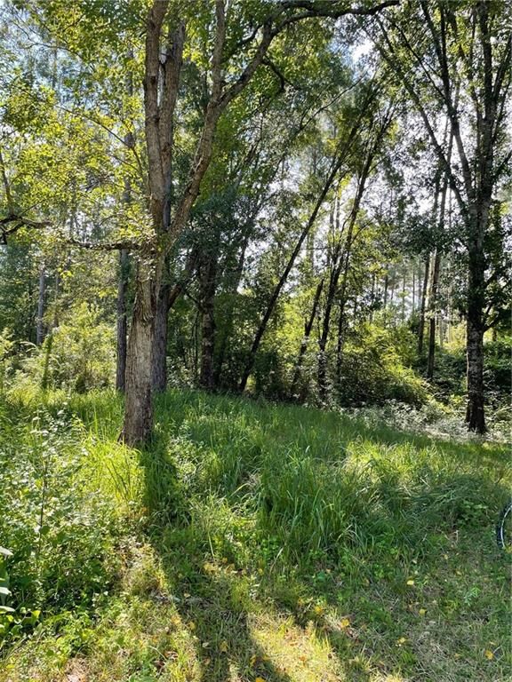 20150 County Road 87, Robertsdale, AL 36567 — photo 3