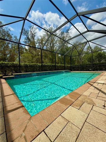 5117 LONGSPUR COURT, Lithia, FL 33547