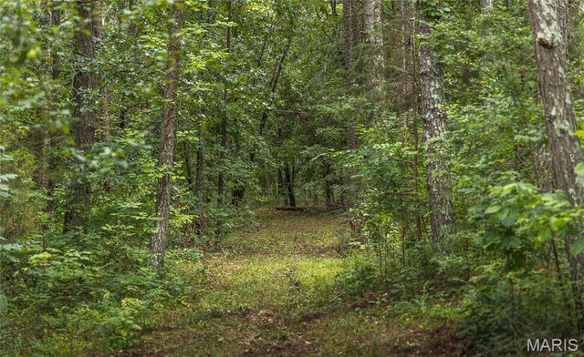 27656 State Route WW, Other, MO 63645