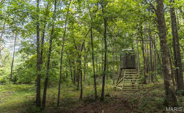 27656 State Route WW, Other, MO 63645
