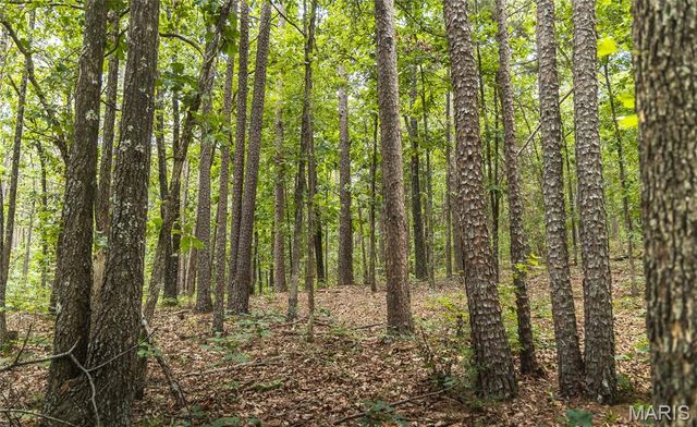 27656 State Route WW, Other, MO 63645