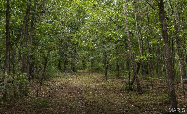 27656 State Route WW, Other, MO 63645