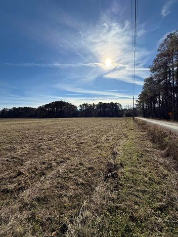 Lot 9 Johnson Shelley Rd., Conway, SC 29526