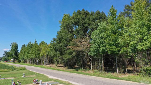 Lot 2 Harris St, Atmore, AL 36502
