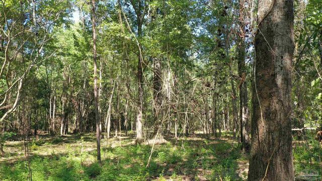 Lot 2 Harris St, Atmore, AL 36502