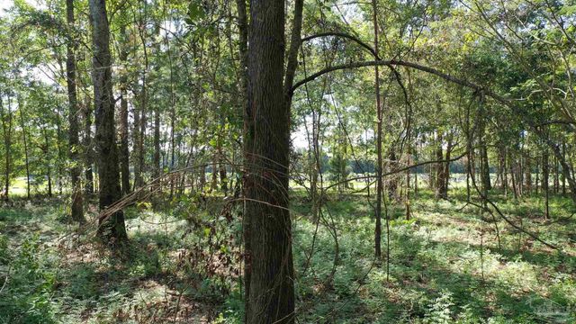 Lot 2 Harris St, Atmore, AL 36502