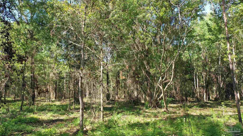 Lot 2 Harris St, Atmore, AL 36502