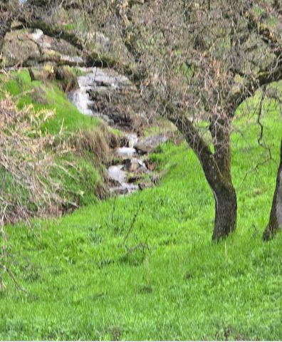 9212 Banderilla Dr, La Grange, CA 95329