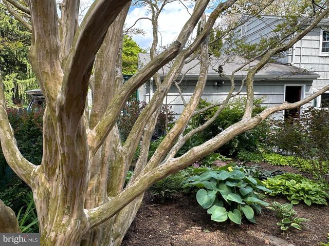 19 FARM RD, Ewing, NJ 08638