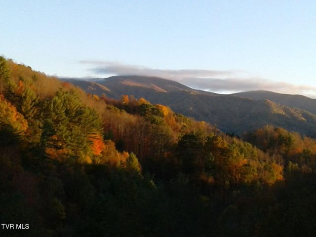 371 Buck Mountain Road, Roan Mountain, TN 37687