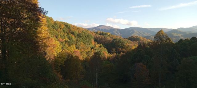 371 Buck Mountain Road, Roan Mountain, TN 37687