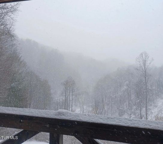 371 Buck Mountain Road, Roan Mountain, TN 37687