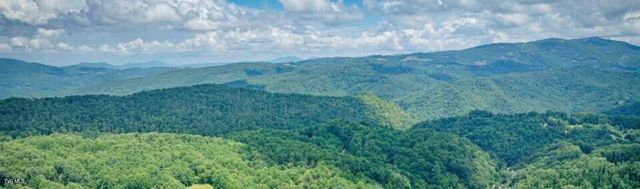 371 Buck Mountain Road, Roan Mountain, TN 37687