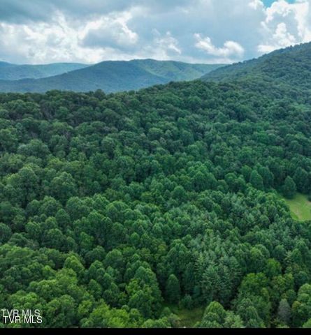 371 Buck Mountain Road, Roan Mountain, TN 37687