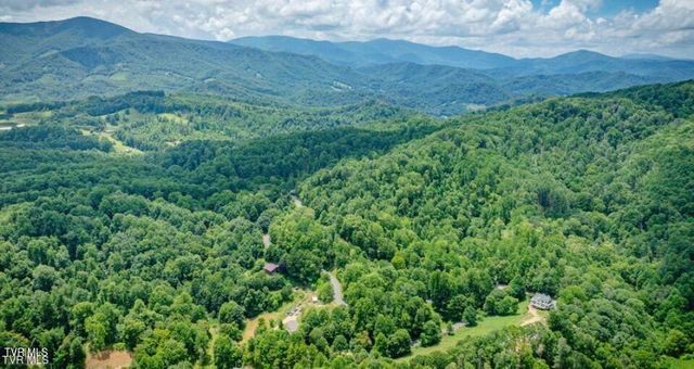 371 Buck Mountain Road, Roan Mountain, TN 37687
