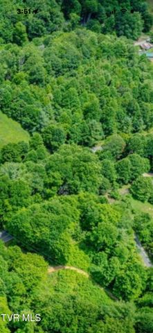 371 Buck Mountain Road, Roan Mountain, TN 37687