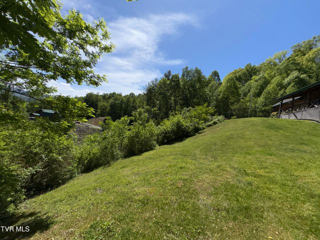 371 Buck Mountain Road, Roan Mountain, TN 37687