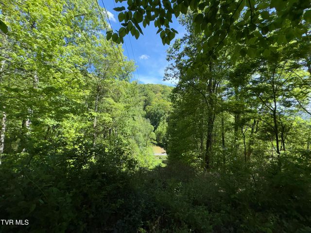371 Buck Mountain Road, Roan Mountain, TN 37687