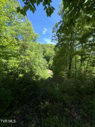 371 Buck Mountain Road, Roan Mountain, TN 37687