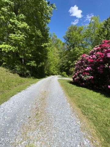 371 Buck Mountain Road, Roan Mountain, TN 37687