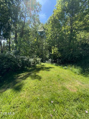 371 Buck Mountain Road, Roan Mountain, TN 37687