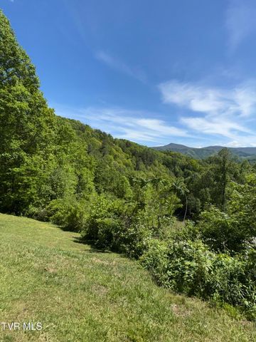 371 Buck Mountain Road, Roan Mountain, TN 37687