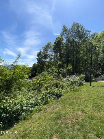 371 Buck Mountain Road, Roan Mountain, TN 37687