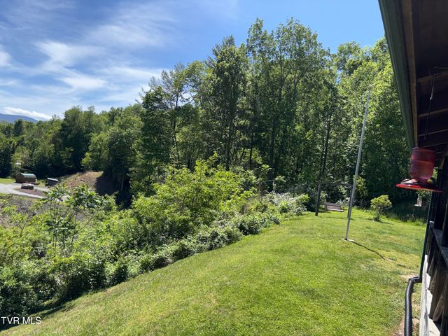 371 Buck Mountain Road, Roan Mountain, TN 37687