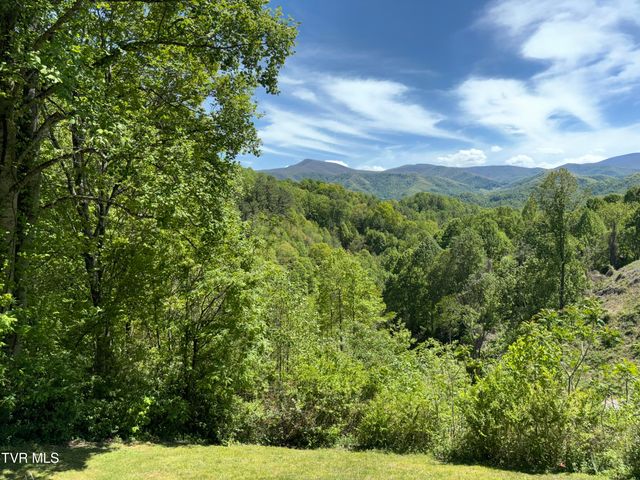371 Buck Mountain Road, Roan Mountain, TN 37687