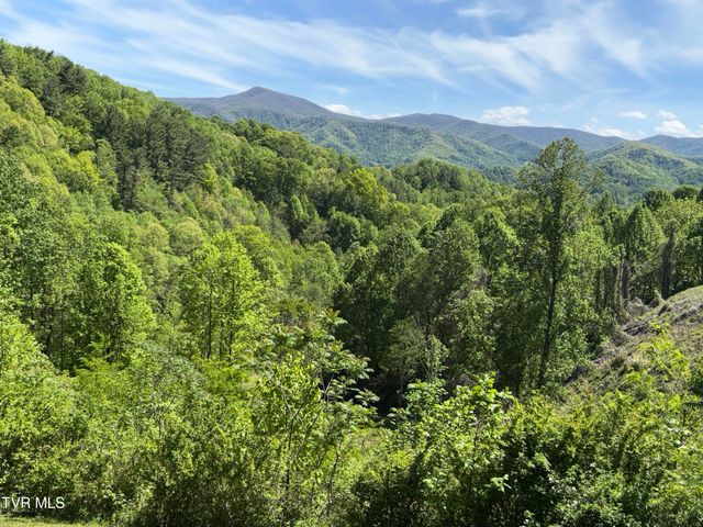 371 Buck Mountain Road, Roan Mountain, TN 37687